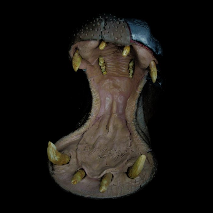 Hippopotame, sculpture de Dyson — L’Arche