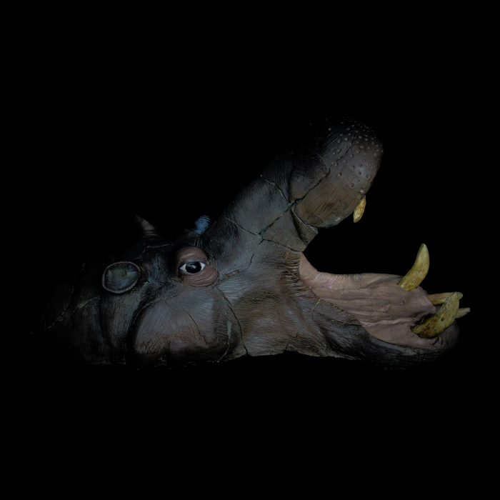 Hippopotame, sculpture de Dyson — L’Arche, vue 3