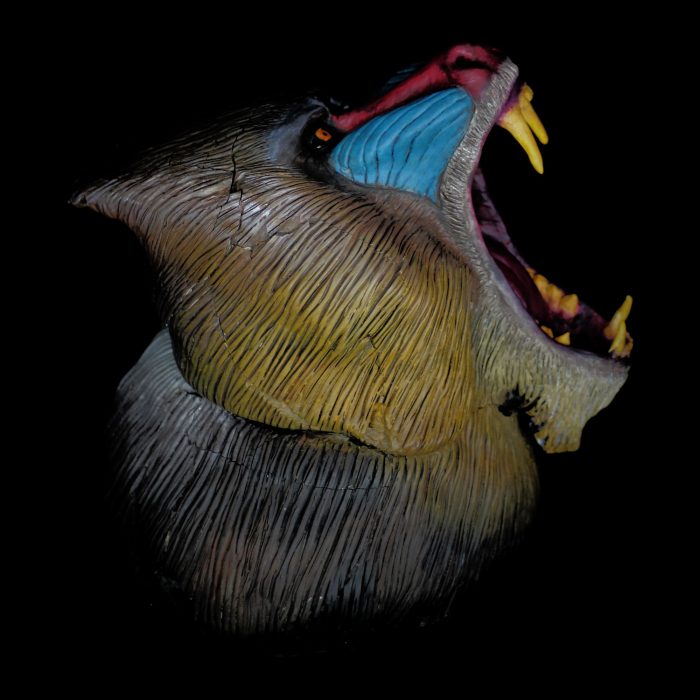 Mandrill, sculpture de Dyson — L’Arche, vue 3