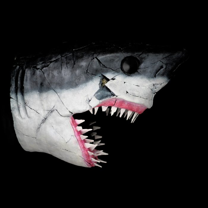 Requin, sculpture de Dyson — L’Arche, vue 2