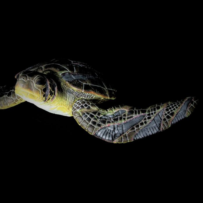 Tortue, sculpture de Dyson — L’Arche, vue 2