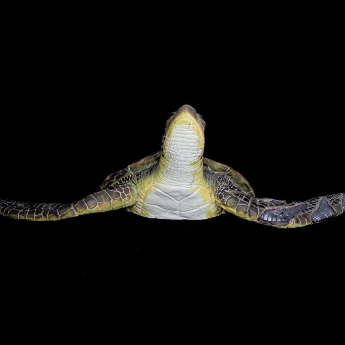 Tortue, sculpture de Dyson — L’Arche, vue 4