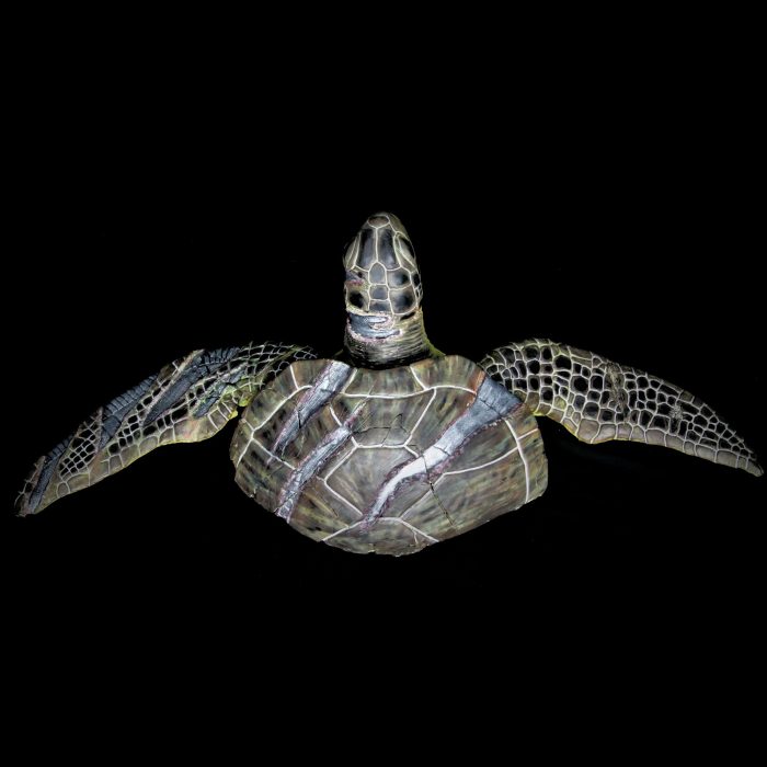 Tortue, sculpture de Dyson — L’Arche, vue 6
