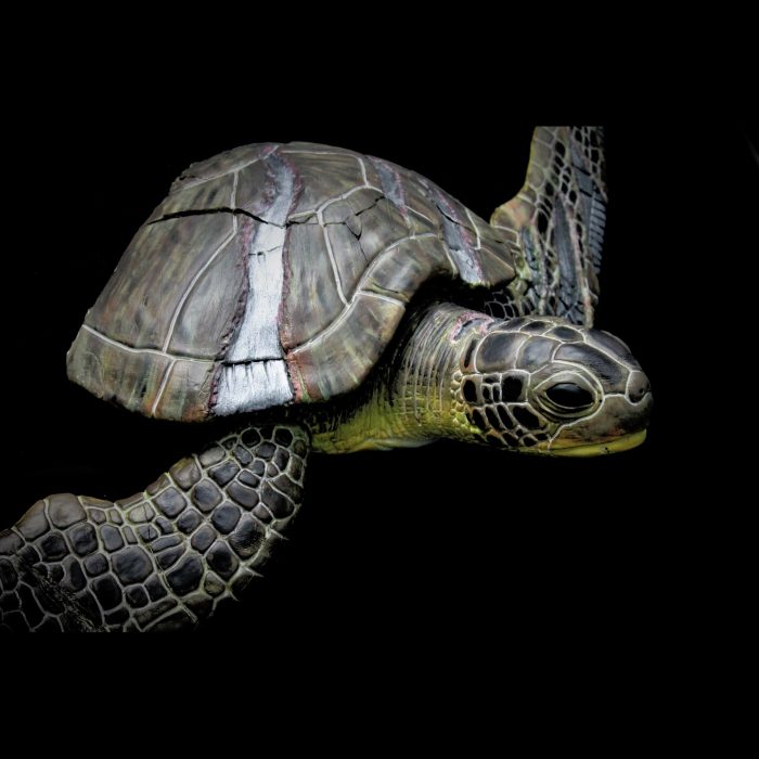 Tortue, sculpture de Dyson — L’Arche, vue 9