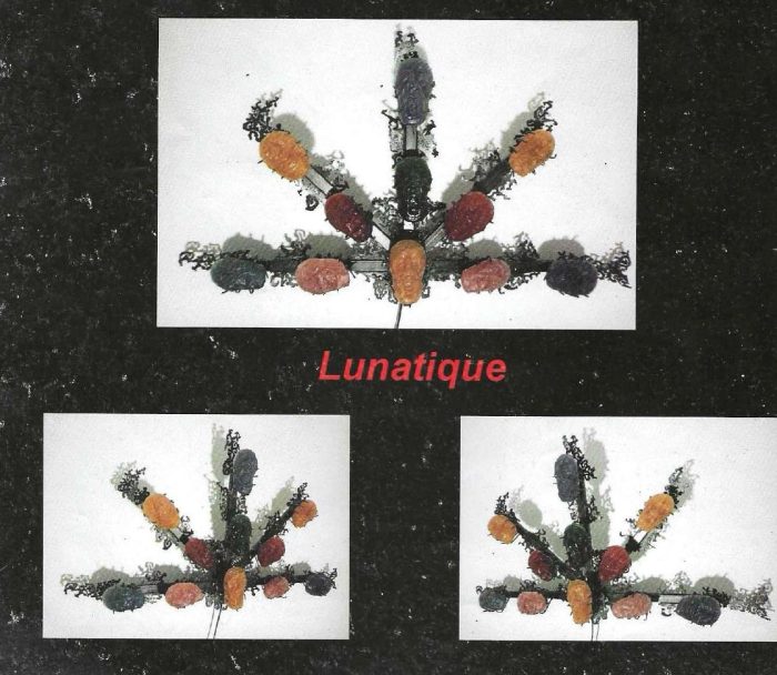 Lunatique, sculpture de Dyson — planche du livret