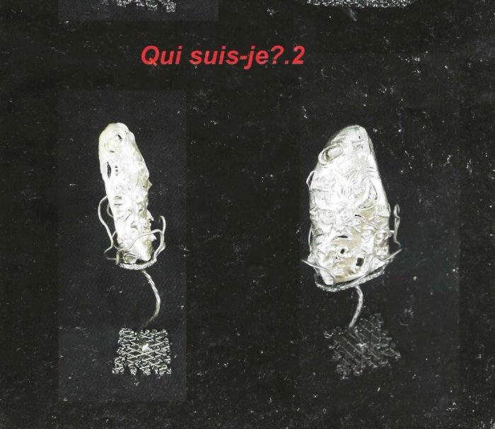 Qui suis-je ? 2, sculpture de Dyson — planche du livret