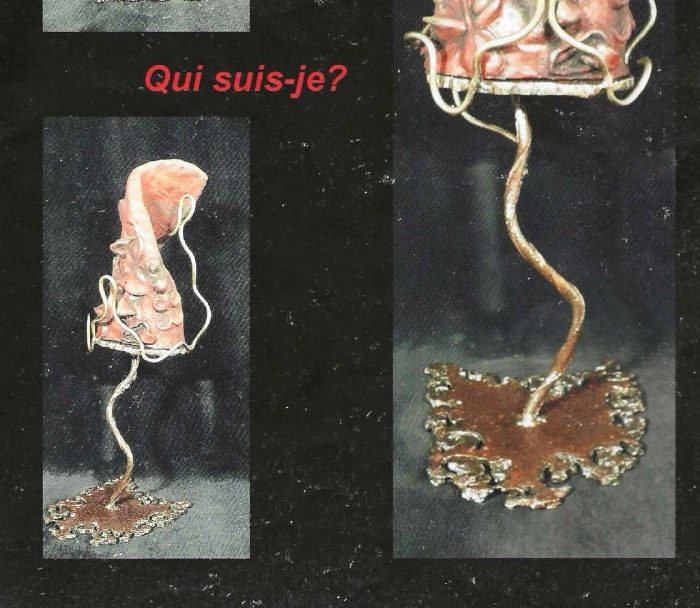 Qui suis-je ?, sculpture de Dyson — planche du livret
